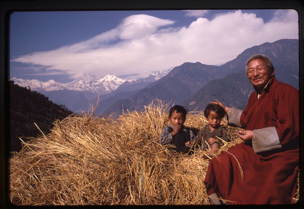 Shinglay Lama and grandchildren sit in haystack near Singhik,Sikkim