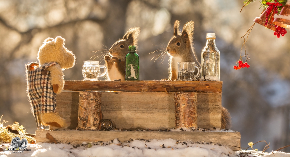 red squirrels in snow with bottles and bar with a bear