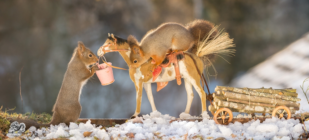 red squirrels on a horse with wagon loaded with wood in snow