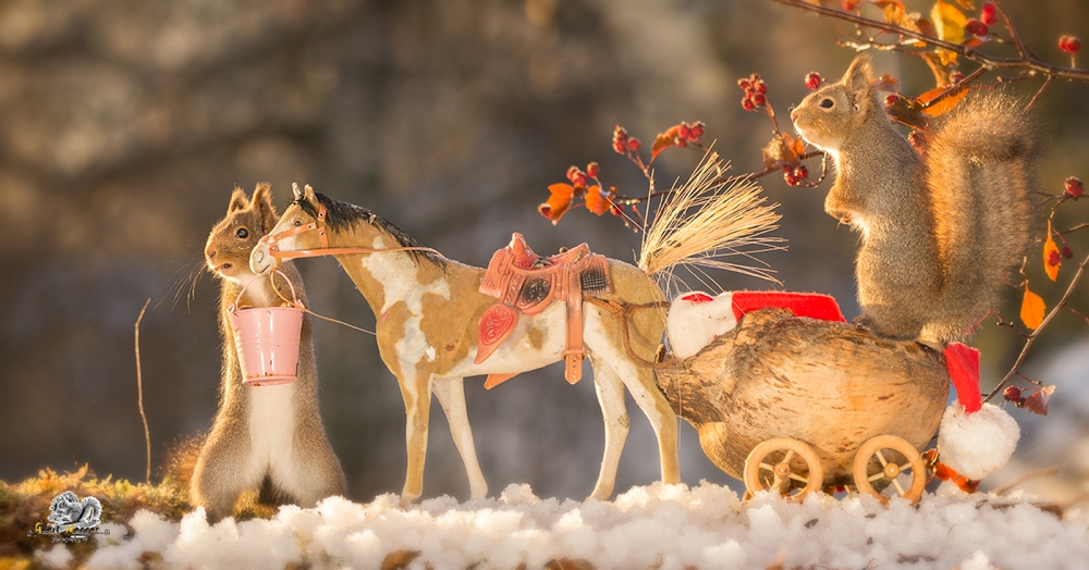 red squirrels on a horse and in wagon with snow