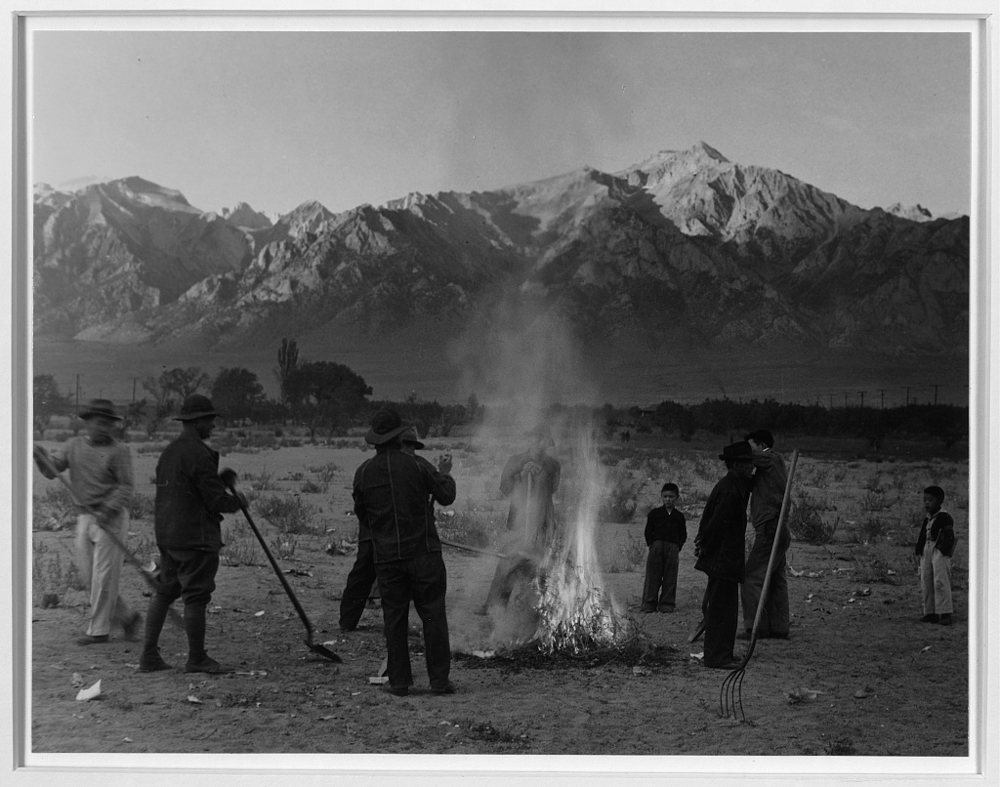 Burning leaves, autumn dawn, Manzanar Relocation Center, California