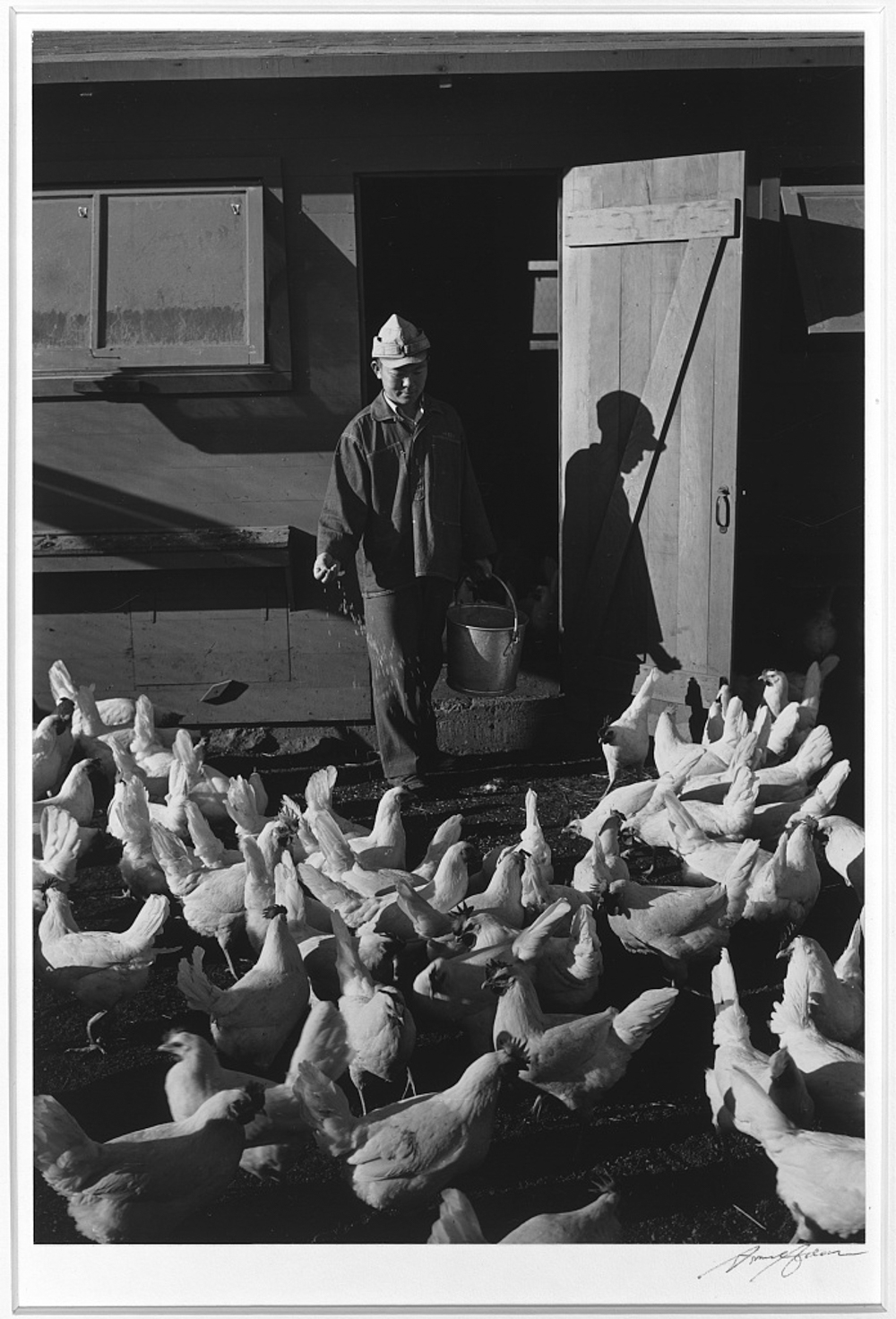  Poultry farm, Mori Nakashima, Manzanar Relocation Center