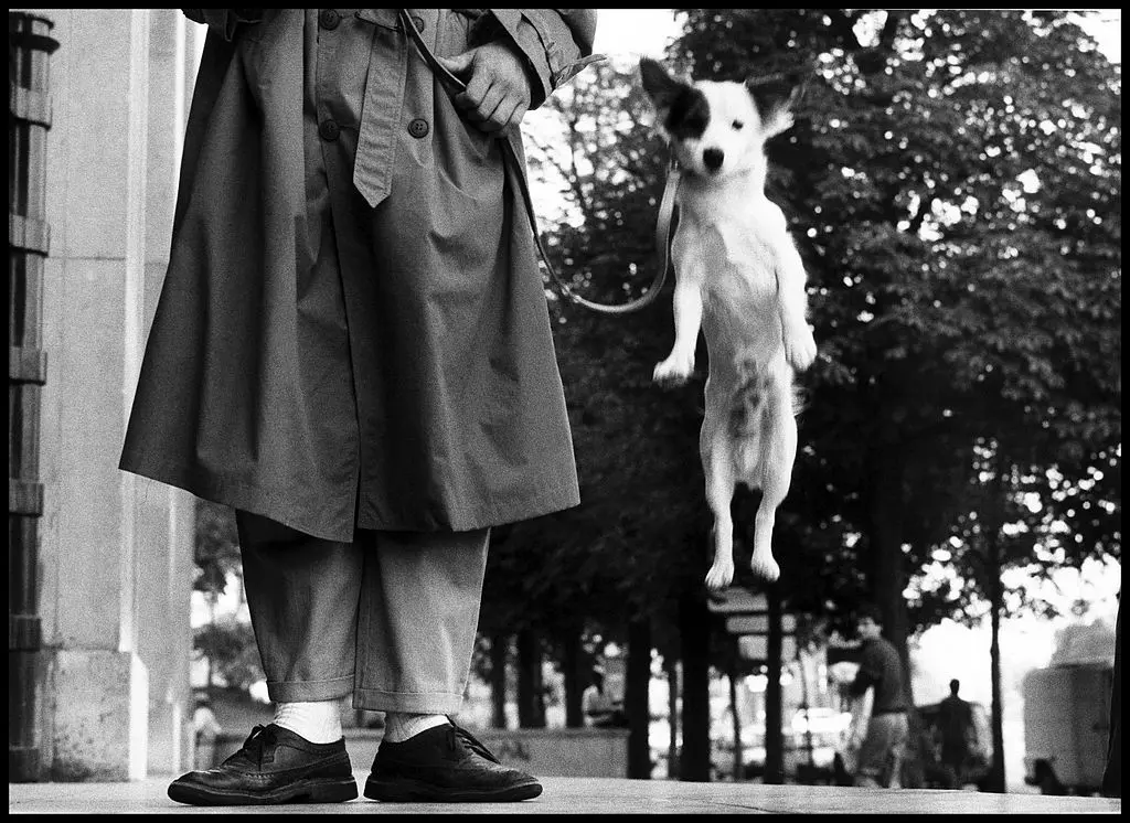 Image by Elliott Erwitt wikicommons