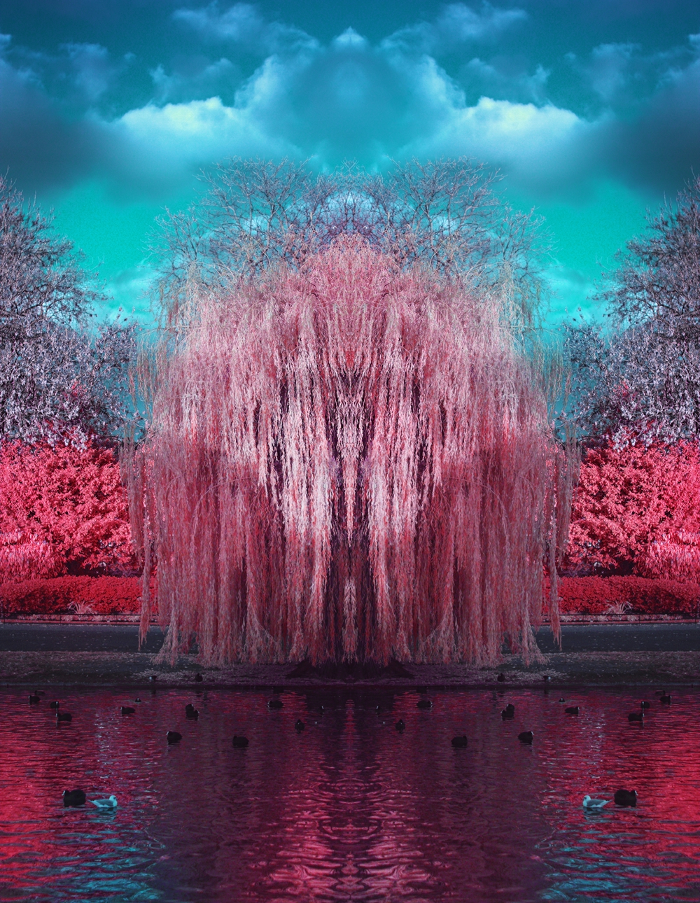 Image by James Zwaldo