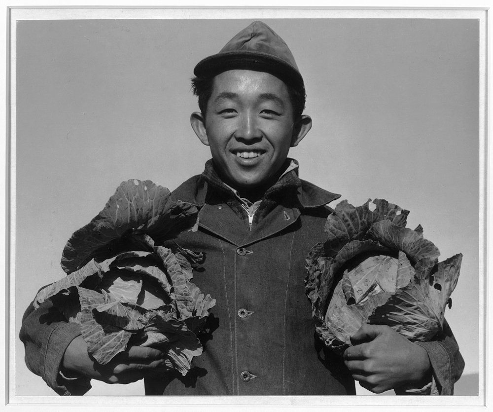 Richard Kobayashi, farmer with cabbages, Manzanar Relocation Center, California