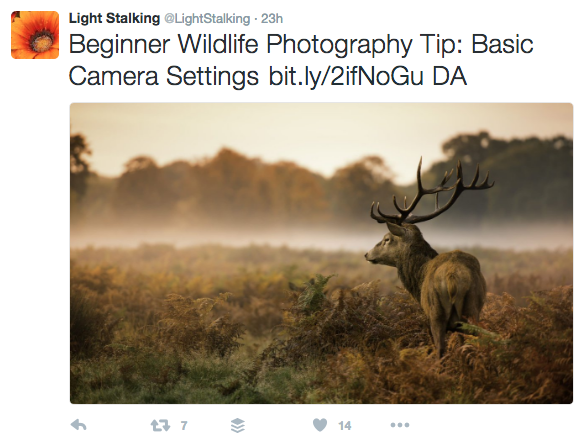 twitter for photographers