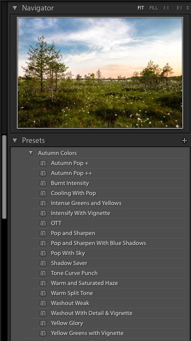 presets panel