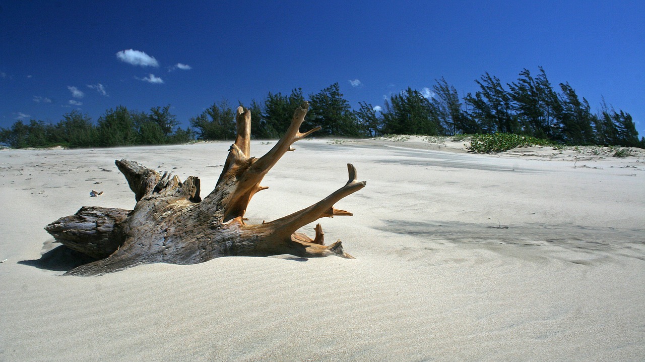 beach photo tips