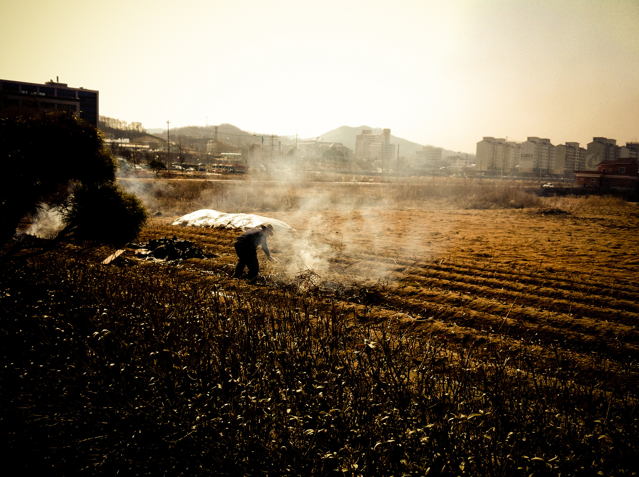 photography in South Korea