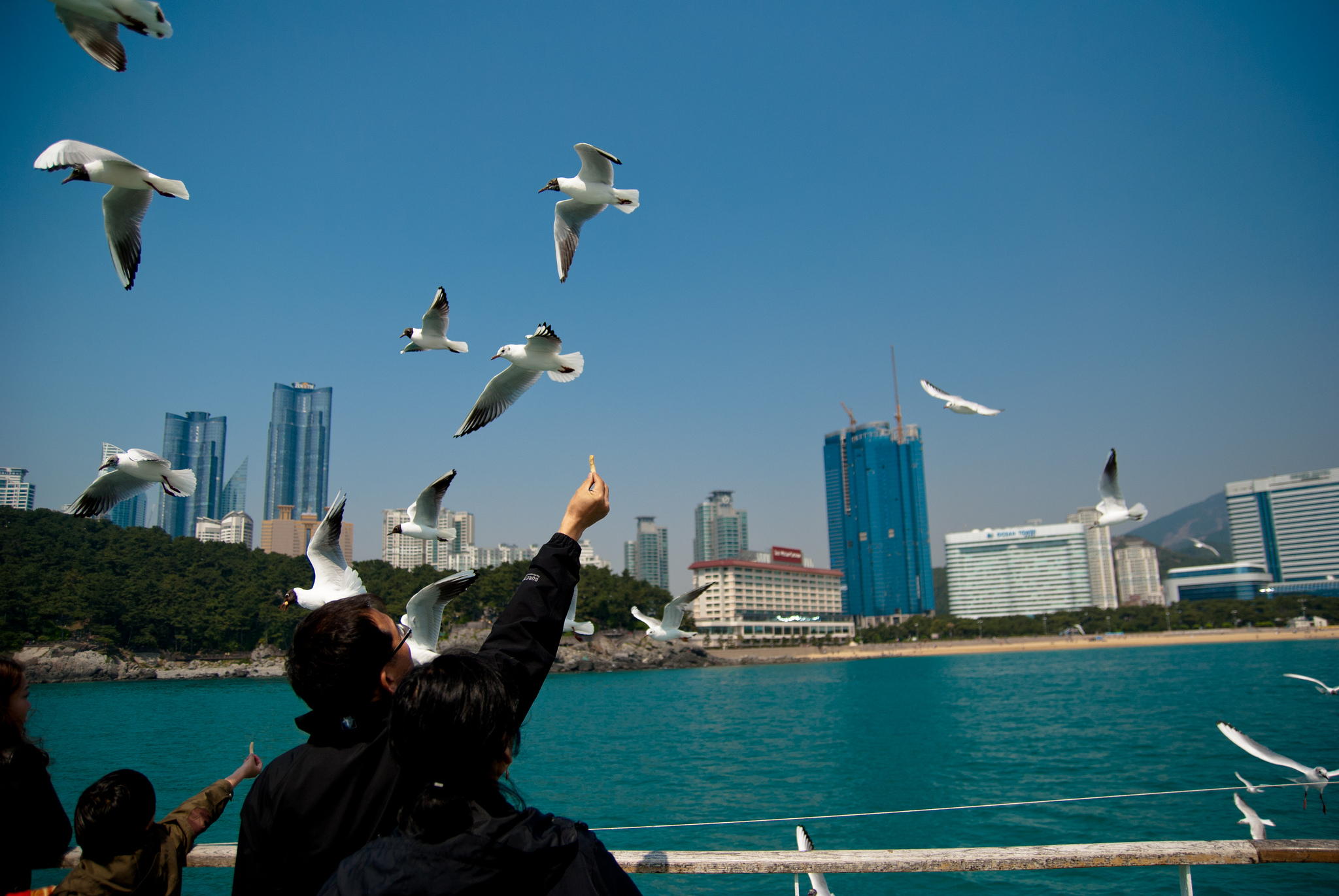 photography in South Korea