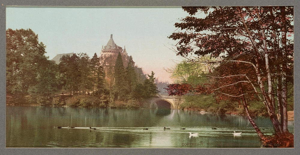 A Lake view in Central Park, New York