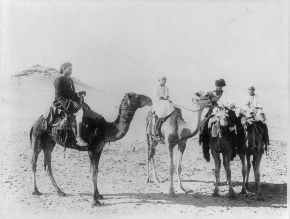 Camel drivers