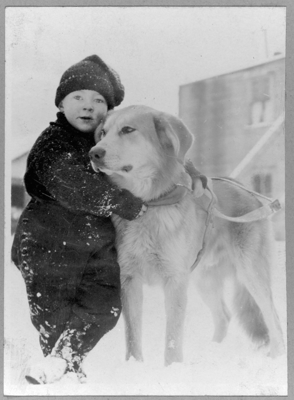 Child with dog