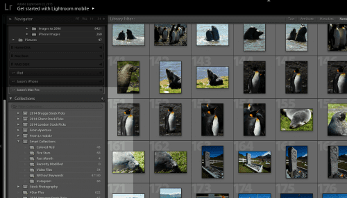 lightroom collections explained