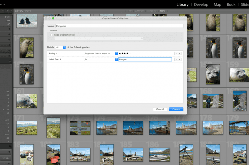 lightroom collections explained