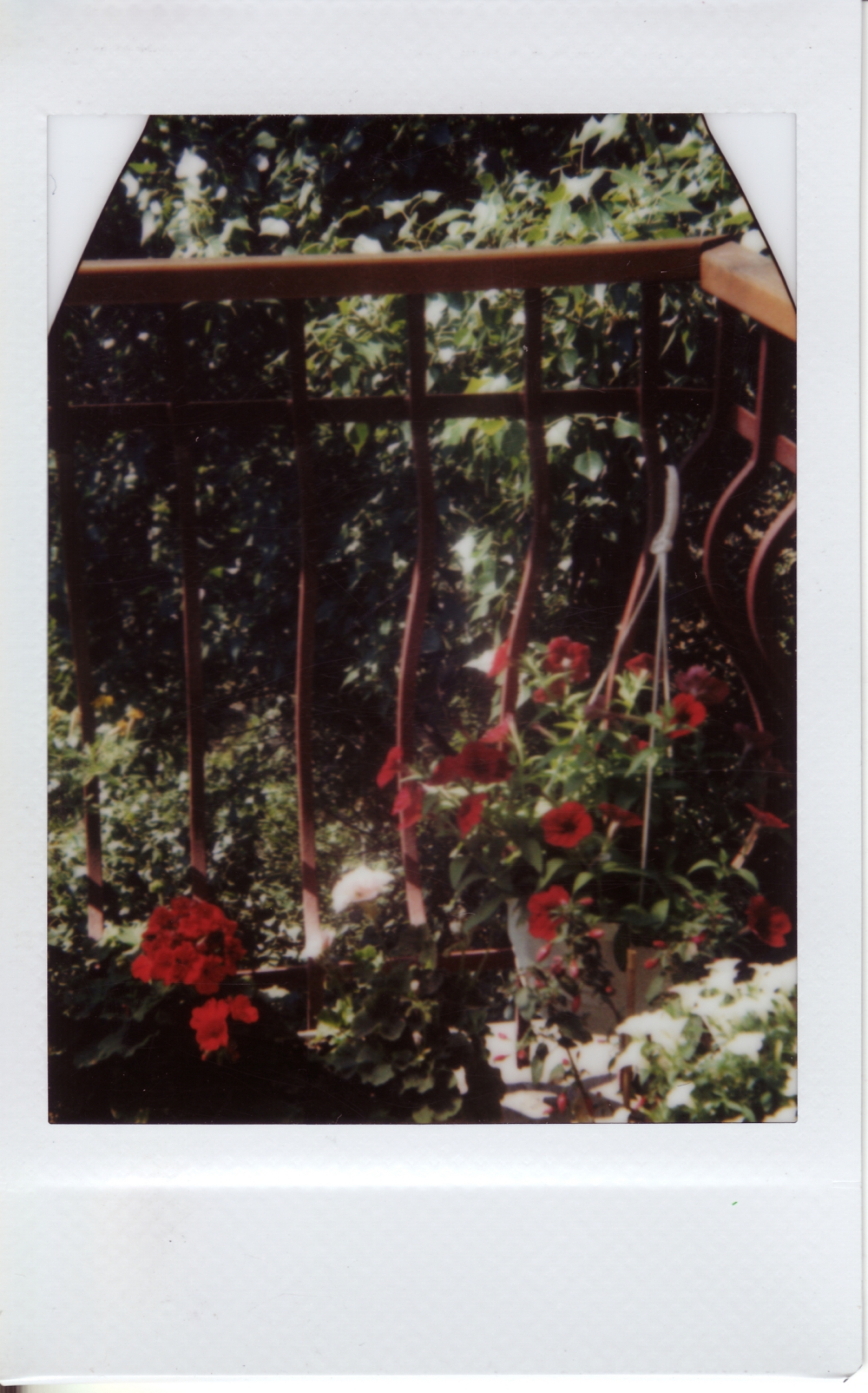 Flowers on the balcony