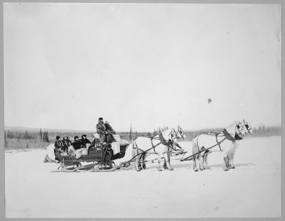 Horses pulling U.S. Mail sled