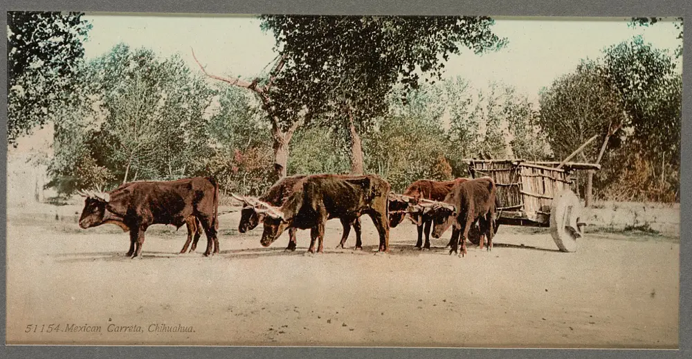 Mexican carreta, Chihuahua