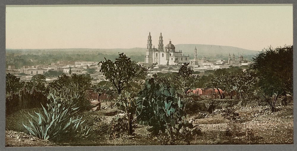 Mexico, view showing Cathedral Lagos