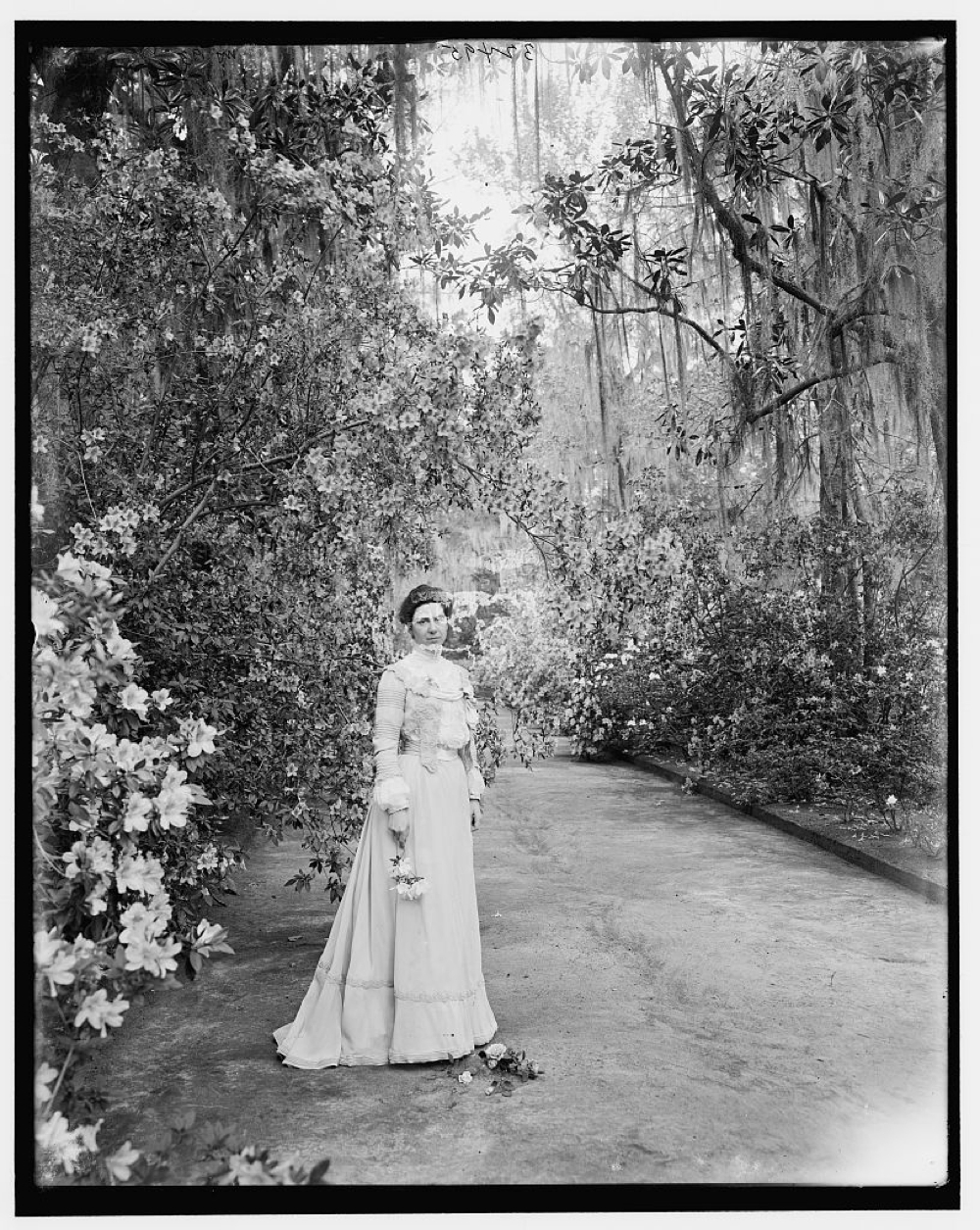 Woman near flowering shrub at Magnolia Gardens, Charleston, S.C