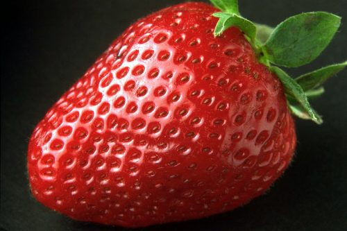 food macro pictures