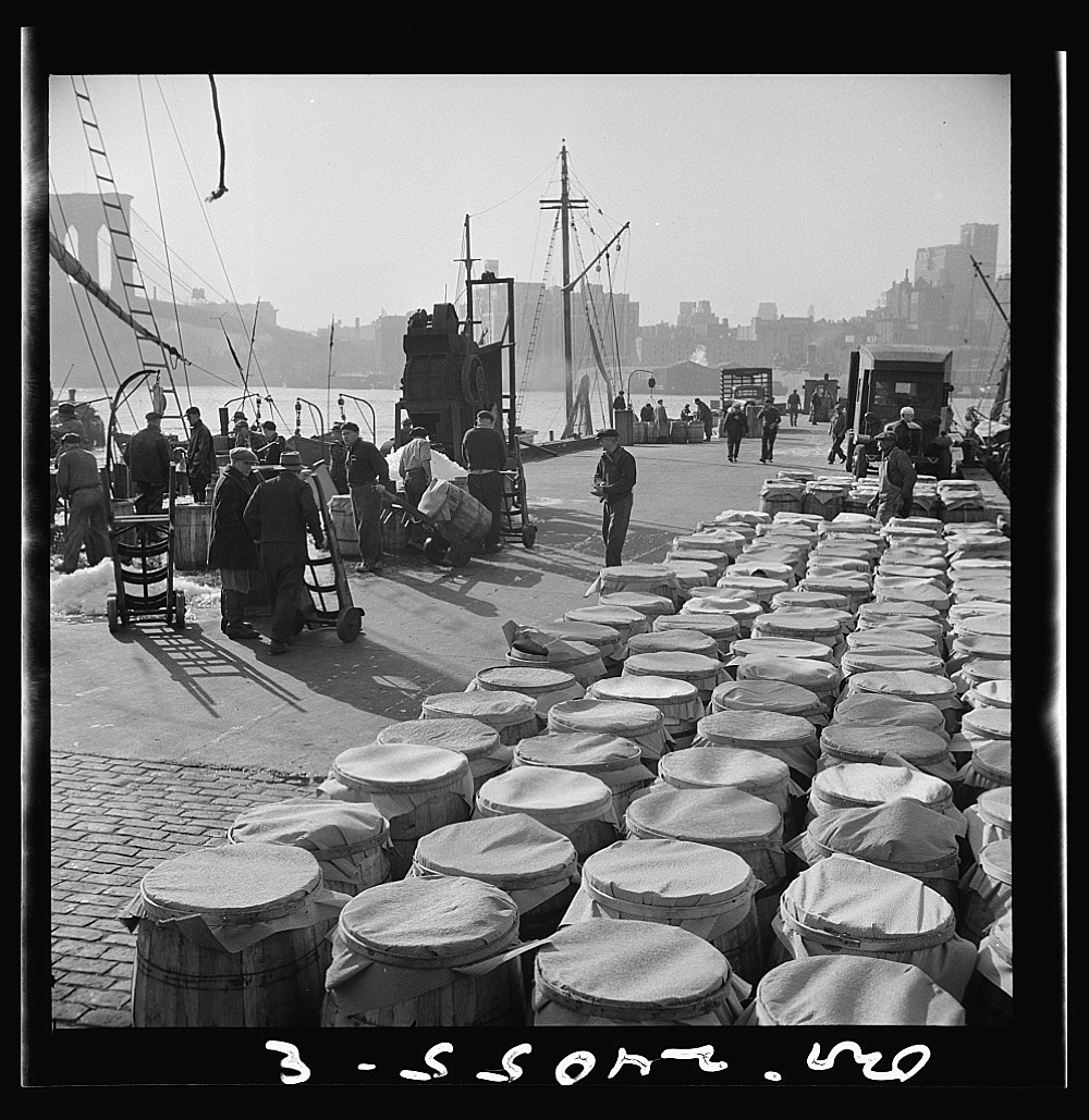 New York, New York. Barrels of fish caught off the New England