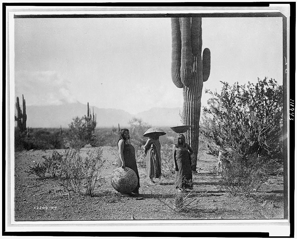 [Saguaro fruit gatherers--Maricopa]
