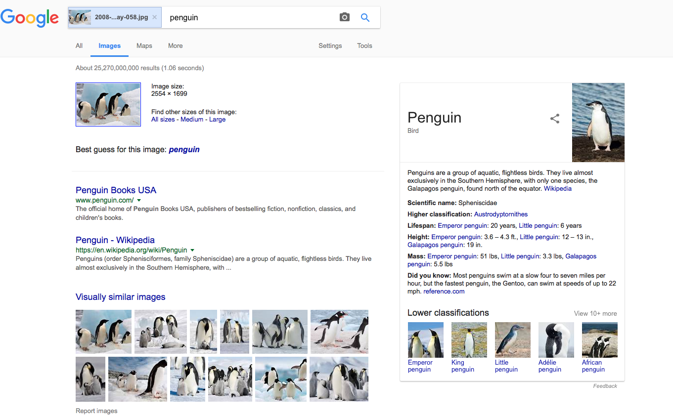 Google provides a guide to identifying different penguins when you image search