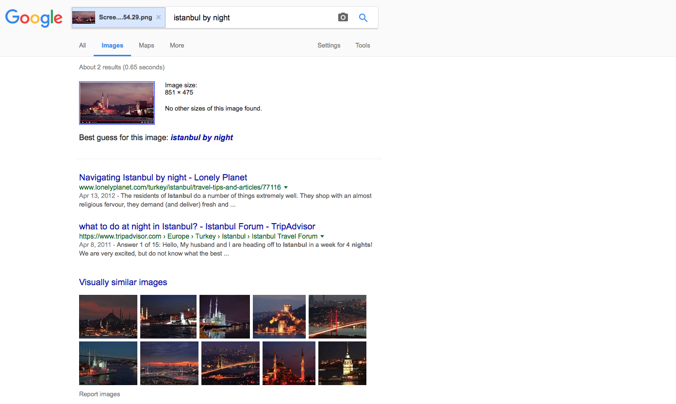 Google correctly identifies a still from a video as Istanbul by night