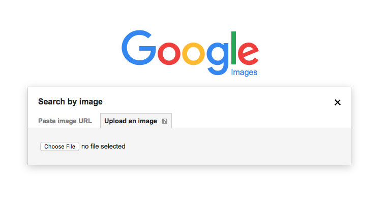 The Reverse Image Search Interface