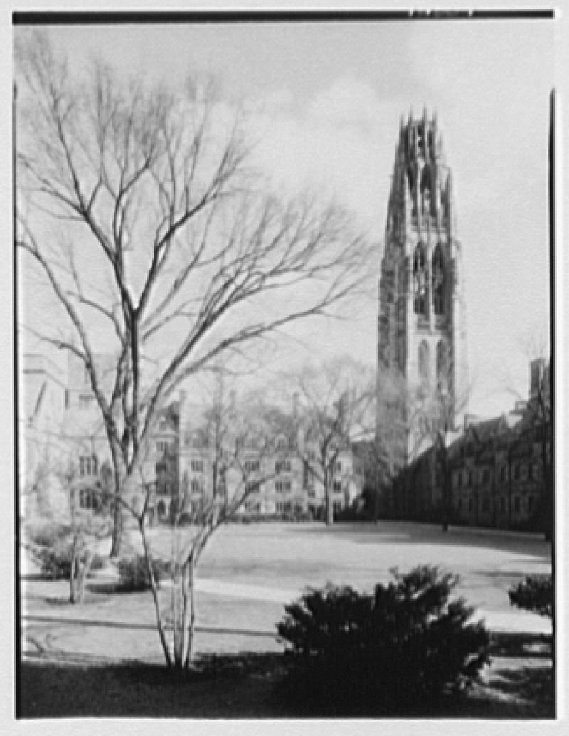 Yale College, New Haven