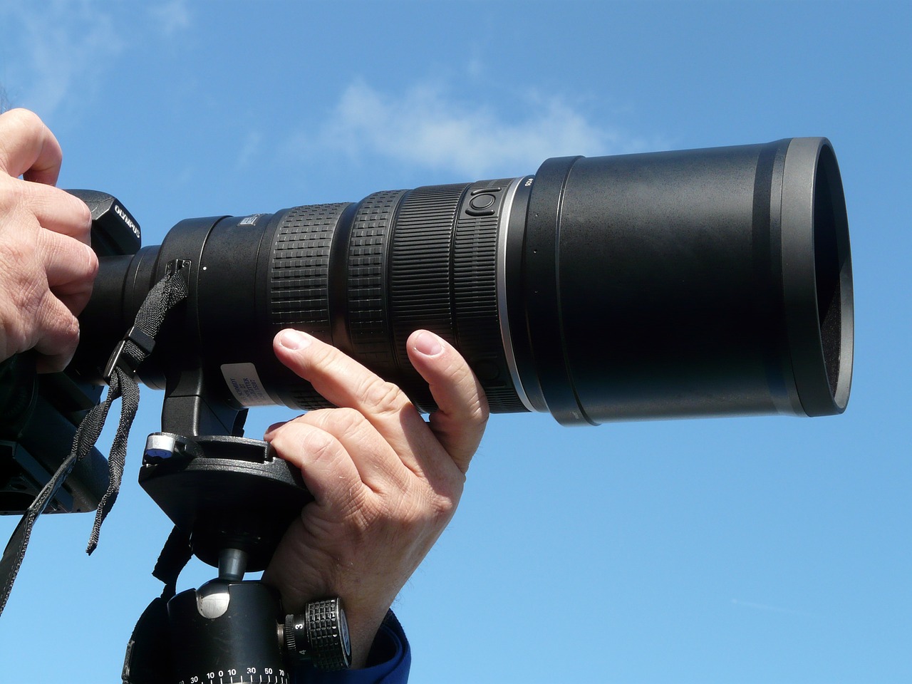 Photographing a Safari