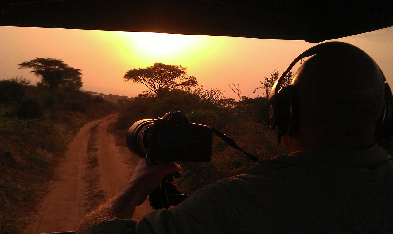photographing a safari