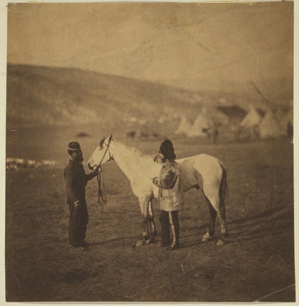 Colonel Clarke, Scots' Greys, with the horse wounded at Balaklava