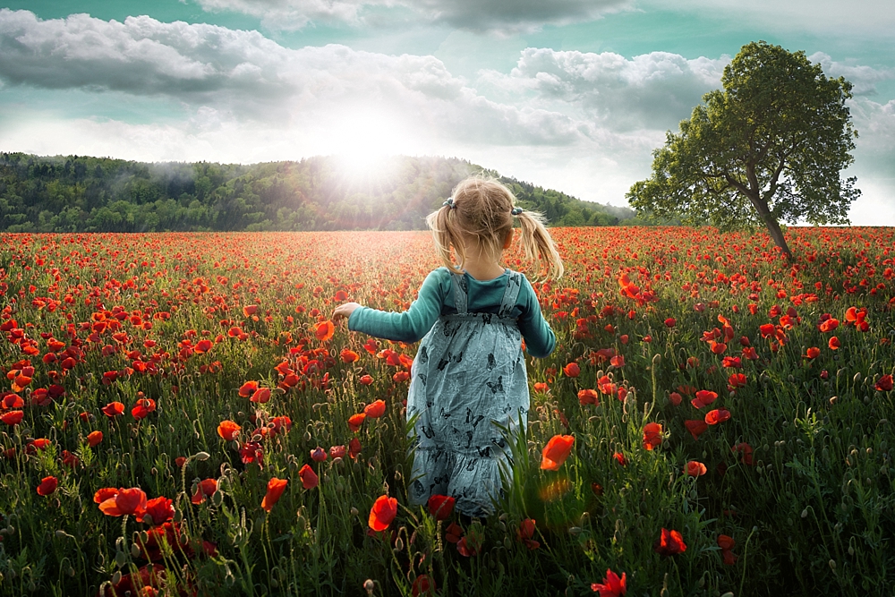 Into the Poppies