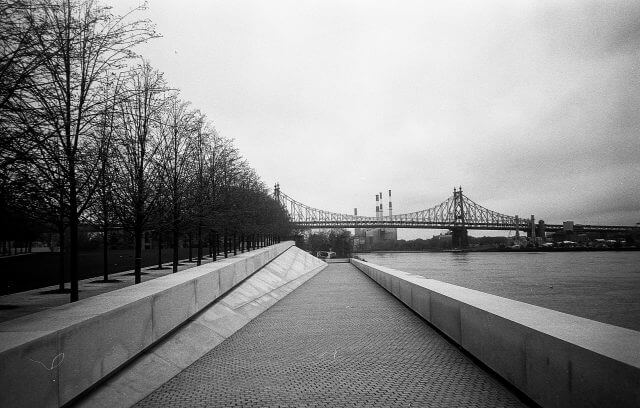 Olympus XA Kodak T-Max 100