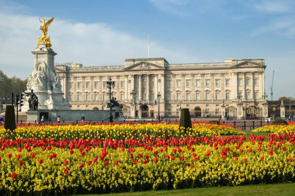 Spring flowers in front of Buckingham Palace,