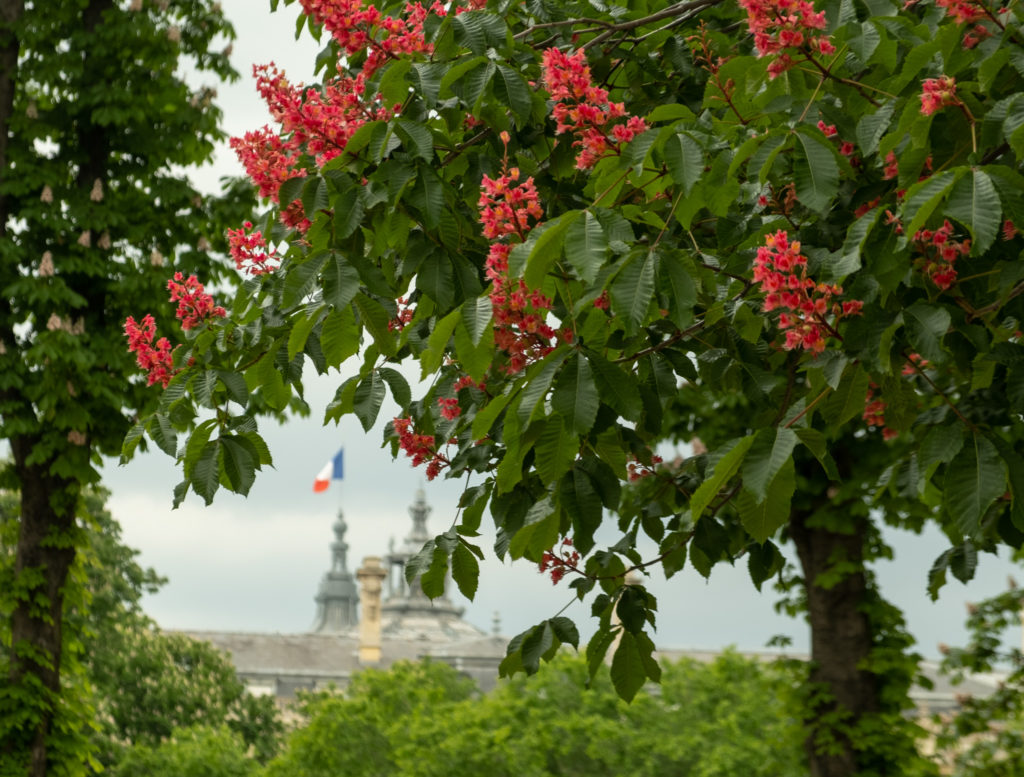 Glimpse of the ricolor flag on top of the Grand Palais in Paris.