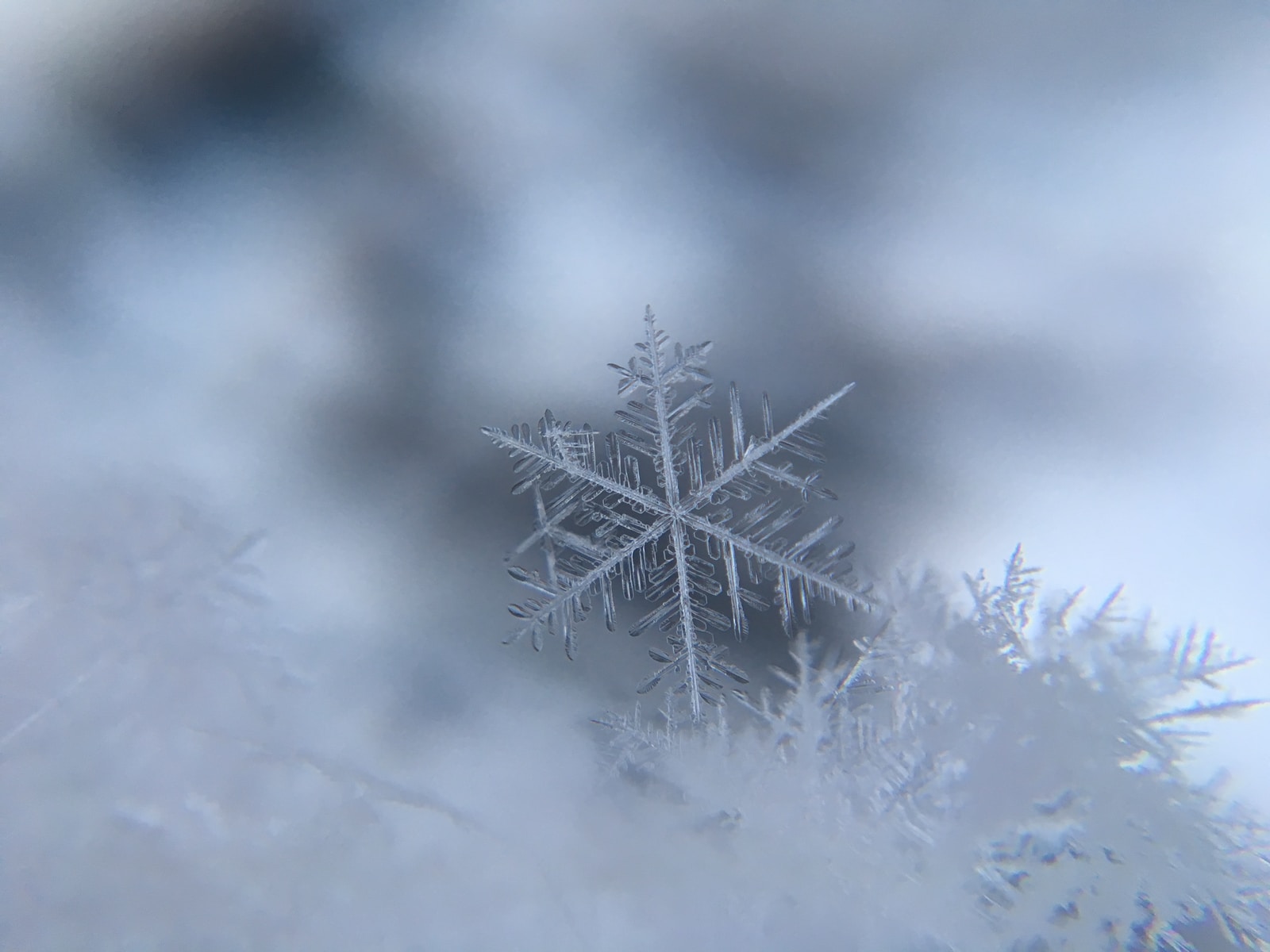 photograph of snowflake with white background