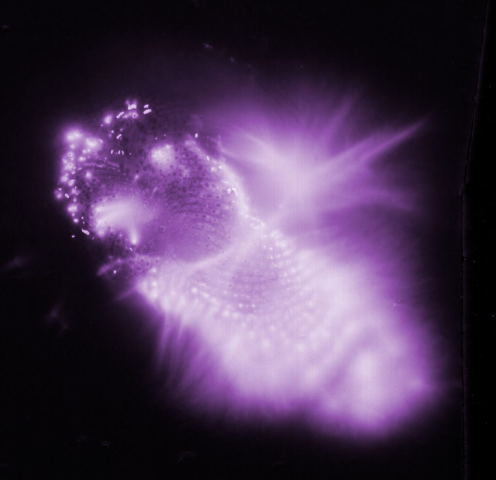 Kirlian fingerprint