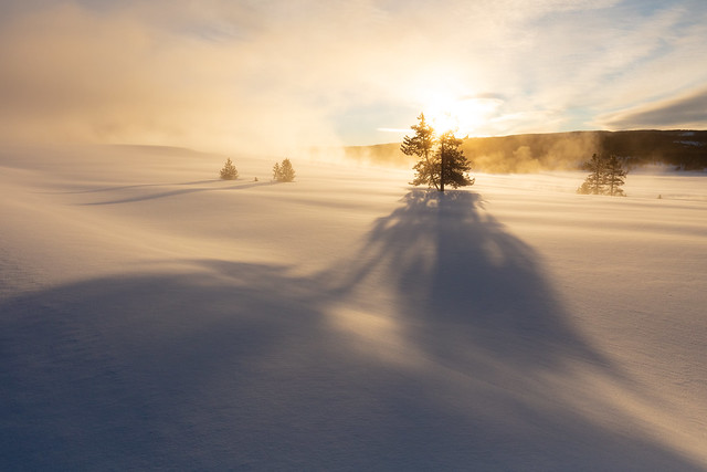 Yellowstone National Park