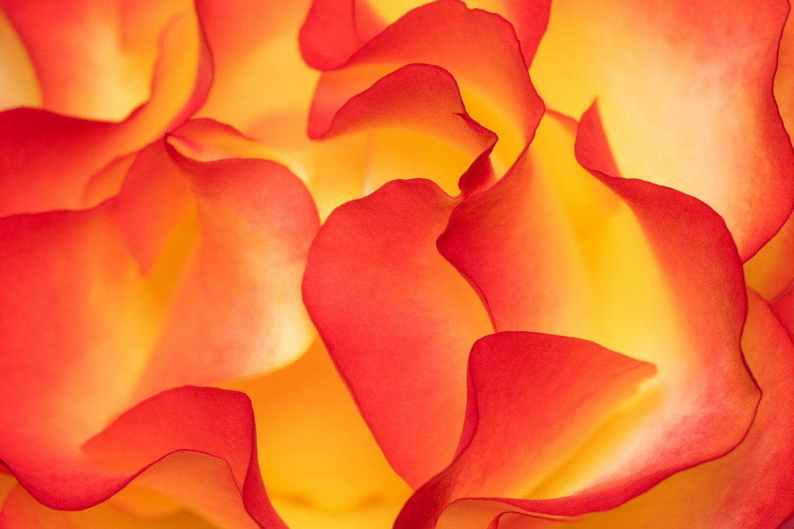 Colour photography contest inspiration