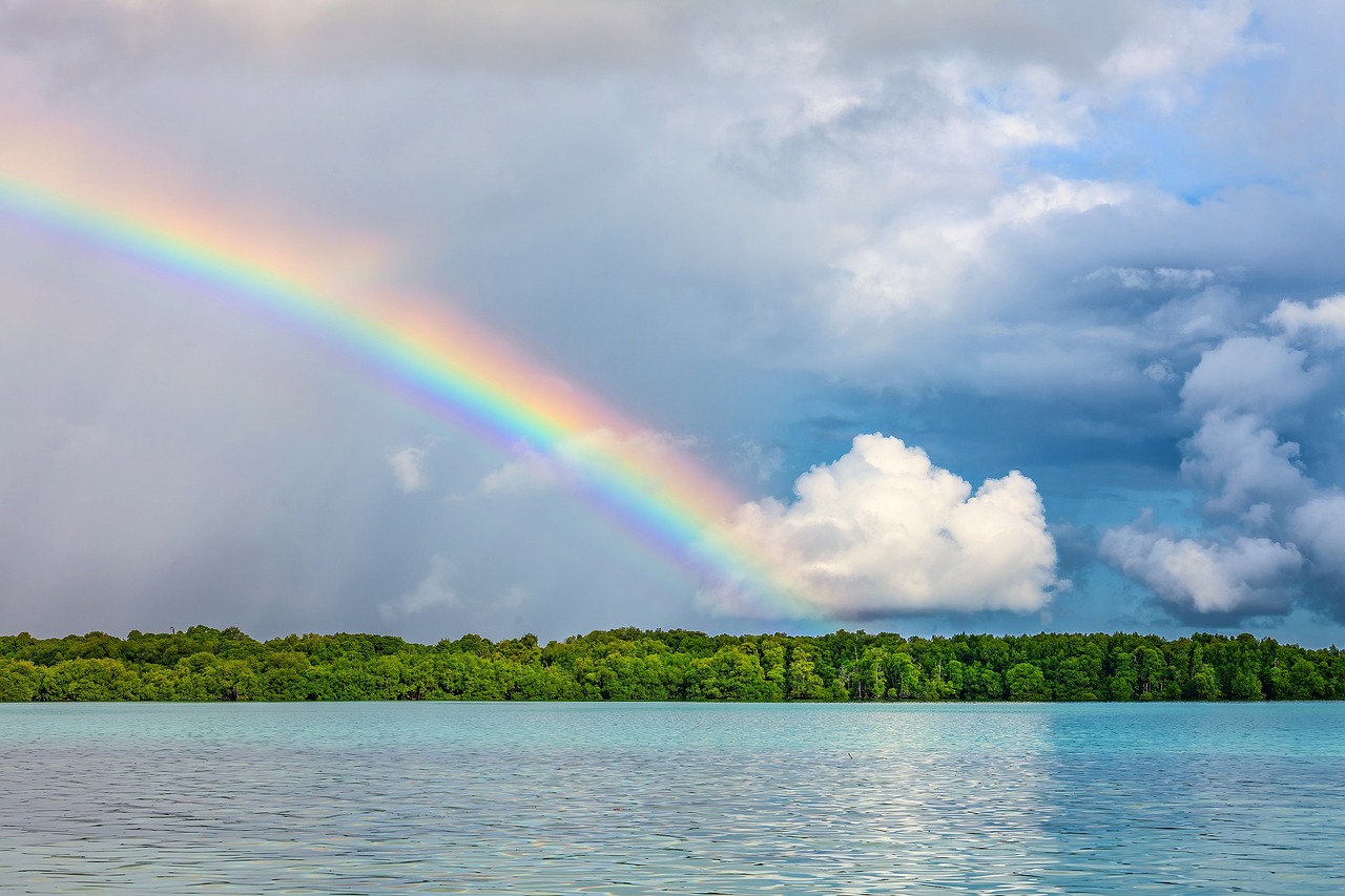 landscape, rainbow, nature background