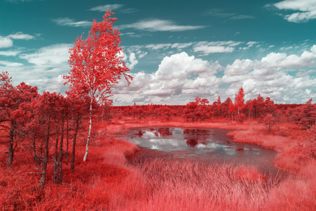 pierre-louis ferrer infrared landscape