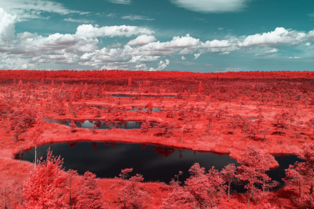 pierre-louis ferrer infrared lake