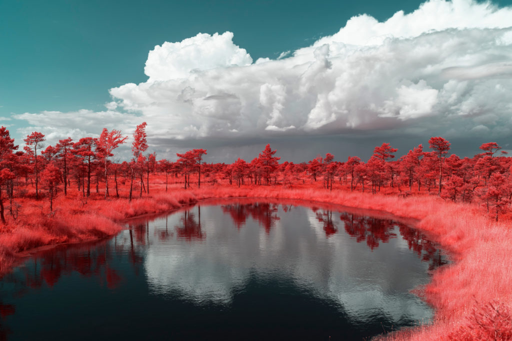 pierre-louis ferrer infrared beautiful landscape
