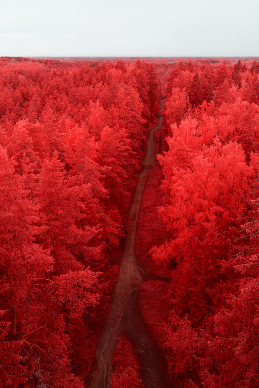 pierre-louis ferrer infrared road