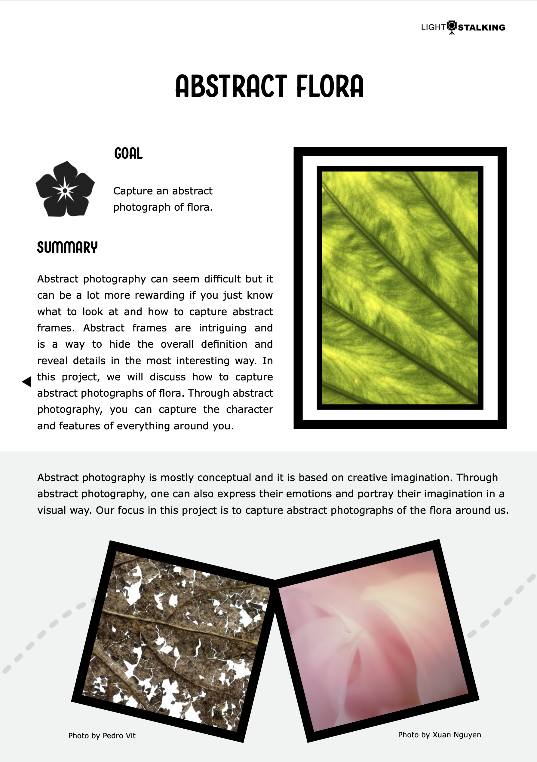 Abstract Flora Project PDF