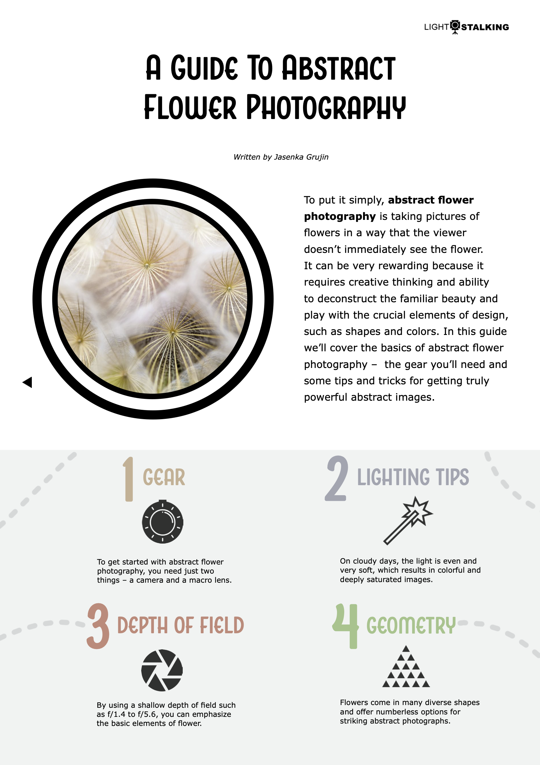 A Guide To Abstract Flower Photography