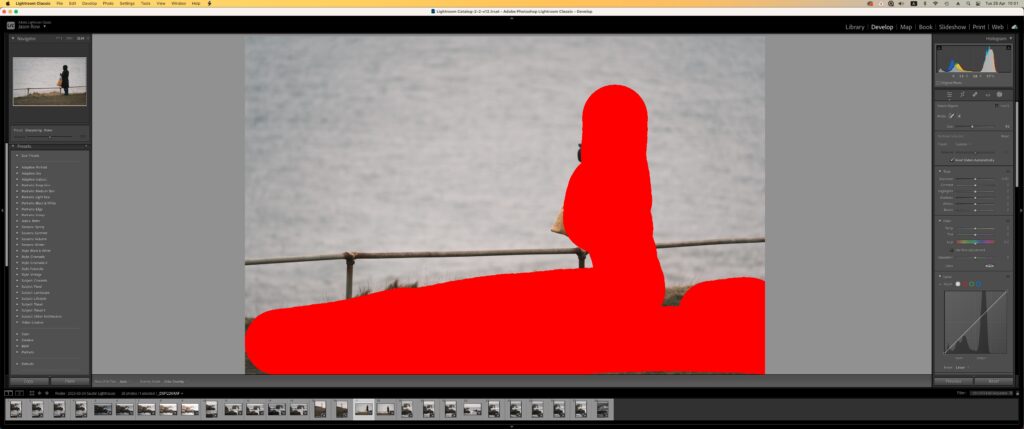 Lightroom object mask tool in action